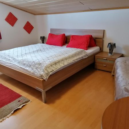Appart Burgwies inklusive Sommercard Stuhlfelden Extérieur photo