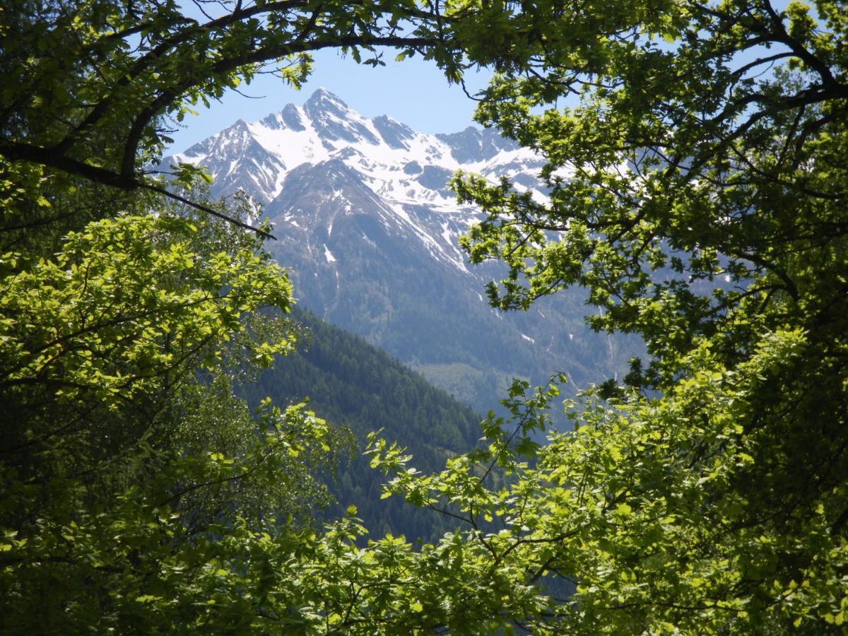 Appart Burgwies inklusive Sommercard Stuhlfelden Extérieur photo
