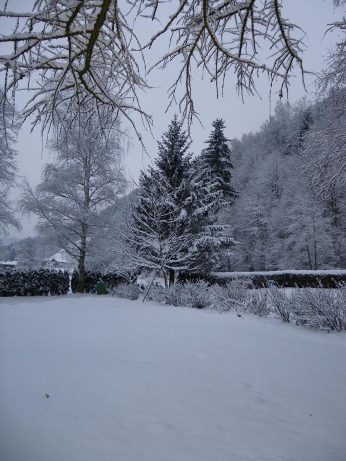 Appart Burgwies inklusive Sommercard Stuhlfelden Extérieur photo